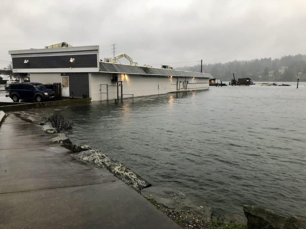 Burley Lagoon at base of shopping center wall in Purdy.