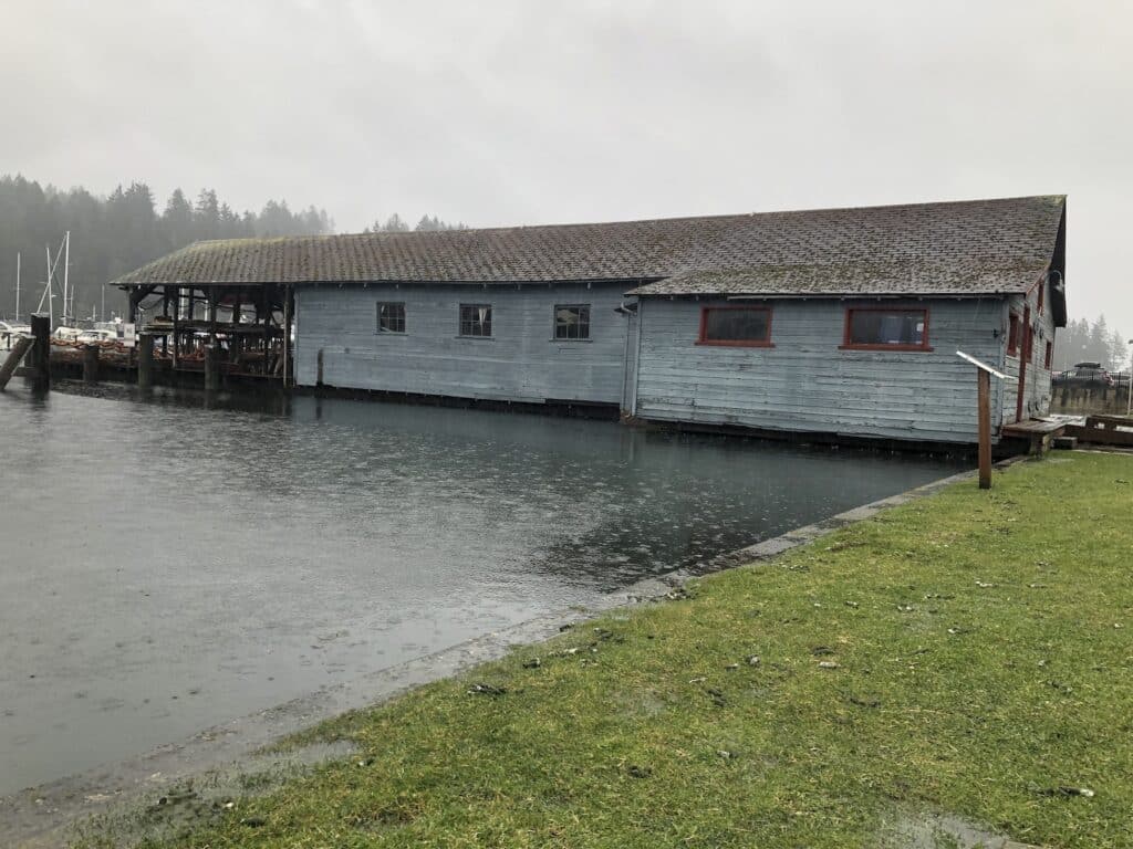 Water reaches bottom of netshed at Skansie Park.