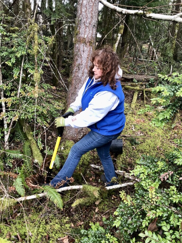 Teresa Casson digs up a sword fern.