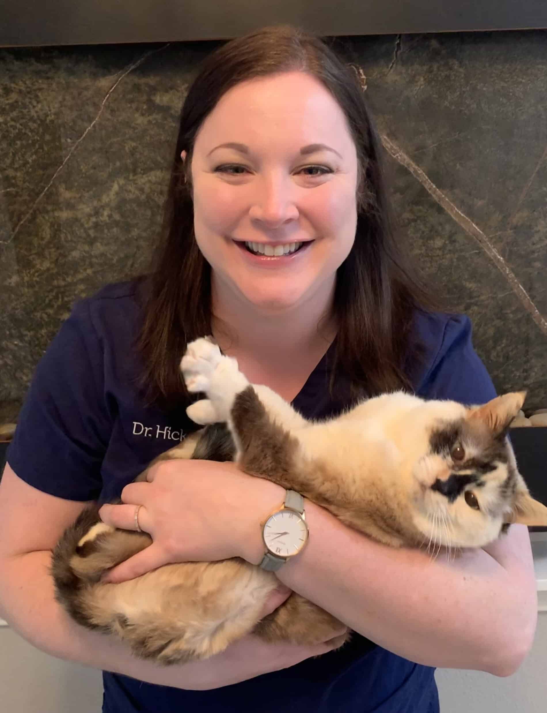 New vet clinic Whisker Wellness caters only to kitties Gig Harbor Now