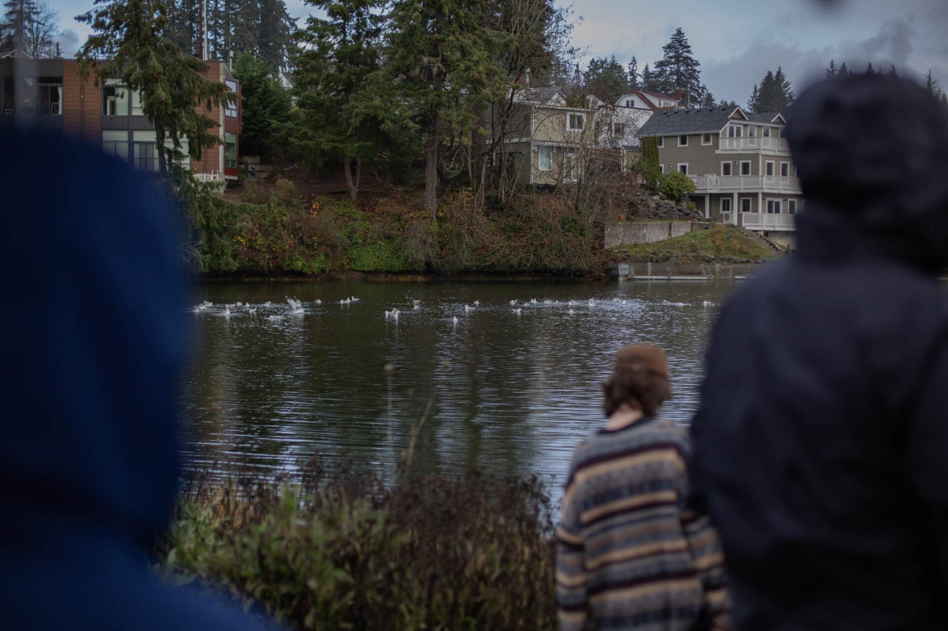 Chum Ramp Walk Chum Walk may be light on chum again; here's why - Gig Harbor Now | A ...