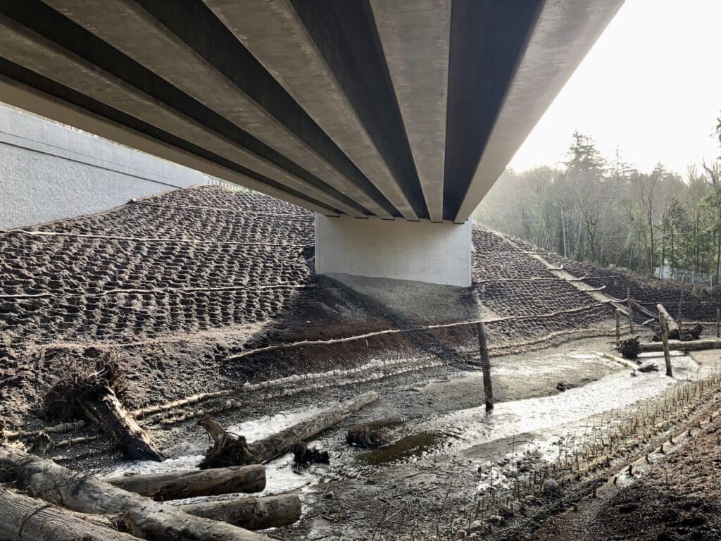 The eastbound Highway 16 bridge casts a shadow across the creek and plantings.