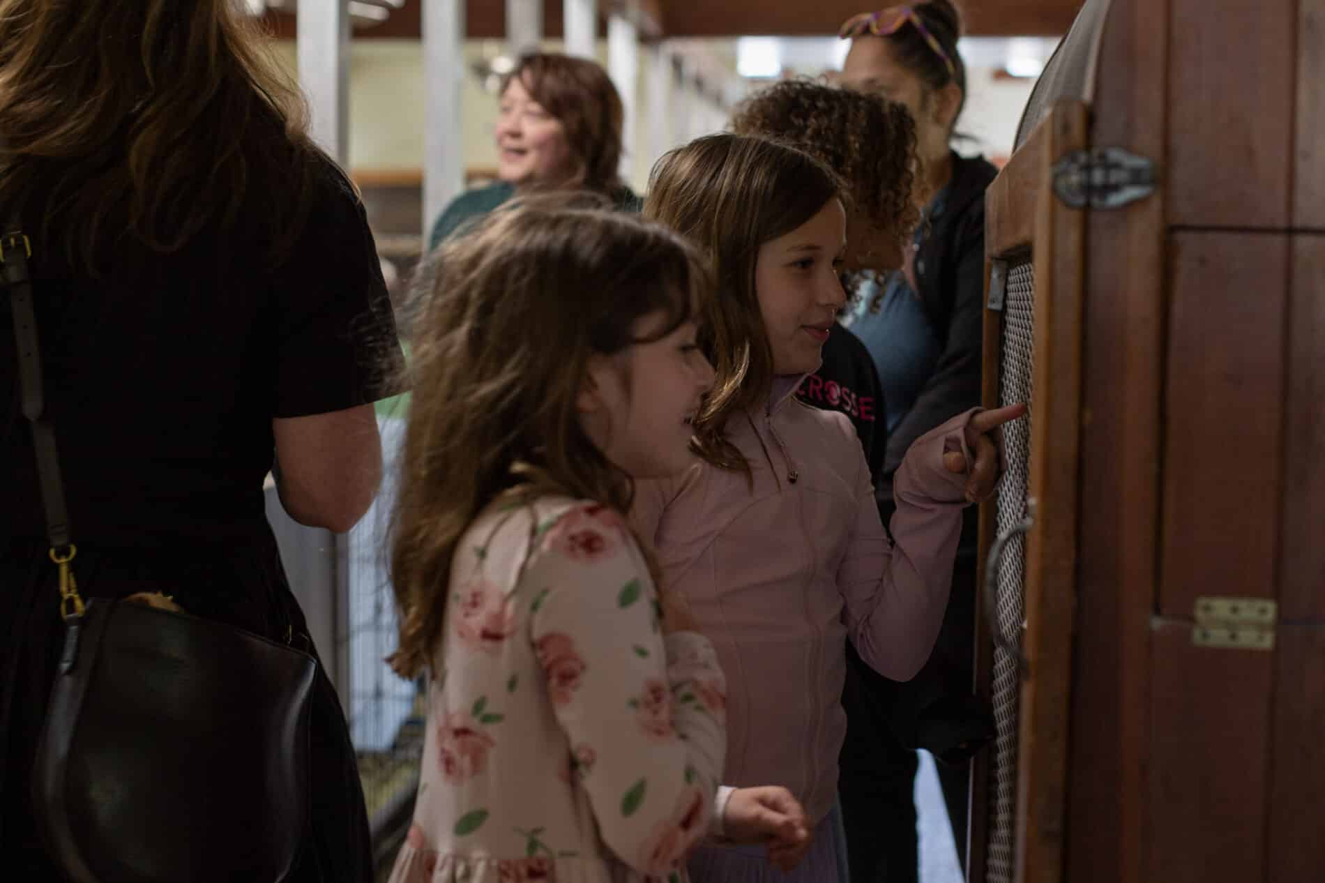 Rabbit Haven wants you to love bunny rabbits ... but not necessarily ...