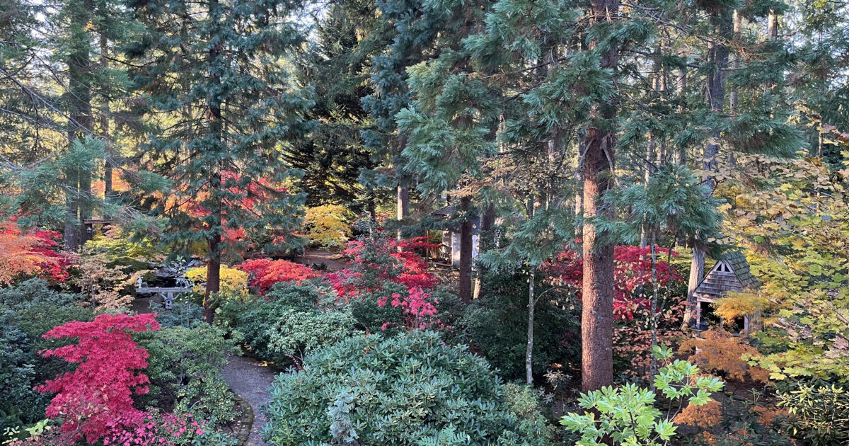 Have a colorful weekend at the Gig Harbor Garden Tour - Gig Harbor Now