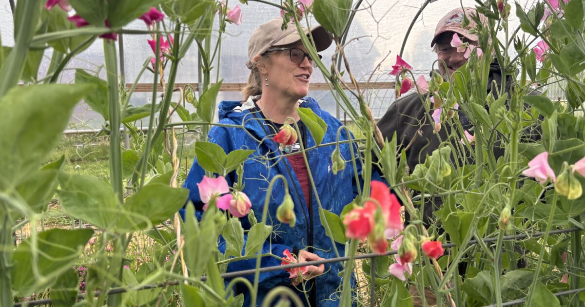 Career change brings Gig Harbor woman full circle - Gig Harbor Now