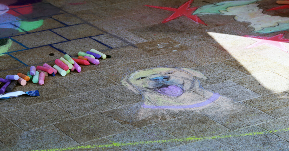 Photos: 2026 Chalk the Harbor - Gig Harbor Now | A hyperlocal